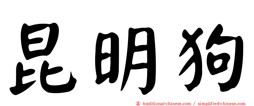 昆明狗