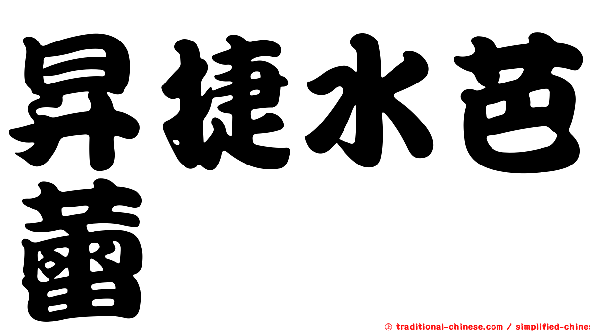 昇捷水芭蕾