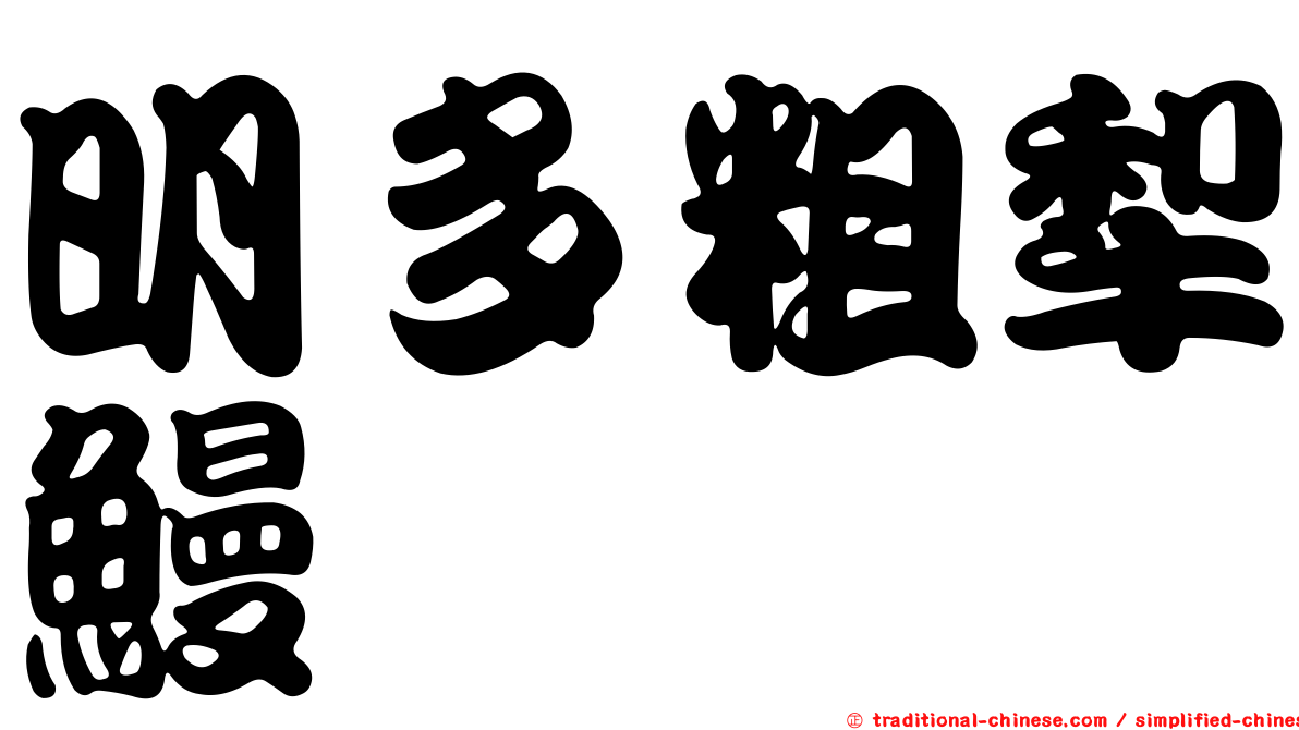 明多粗犁鰻