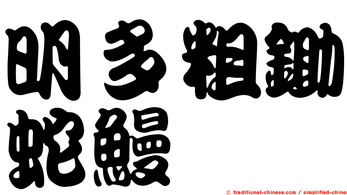 明多粗鋤蛇鰻