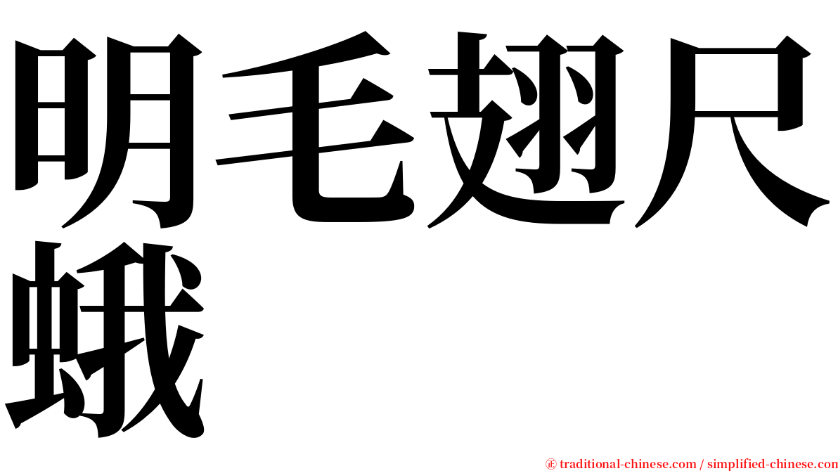 明毛翅尺蛾 serif font