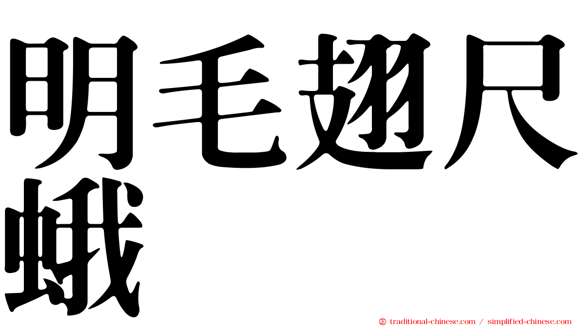 明毛翅尺蛾