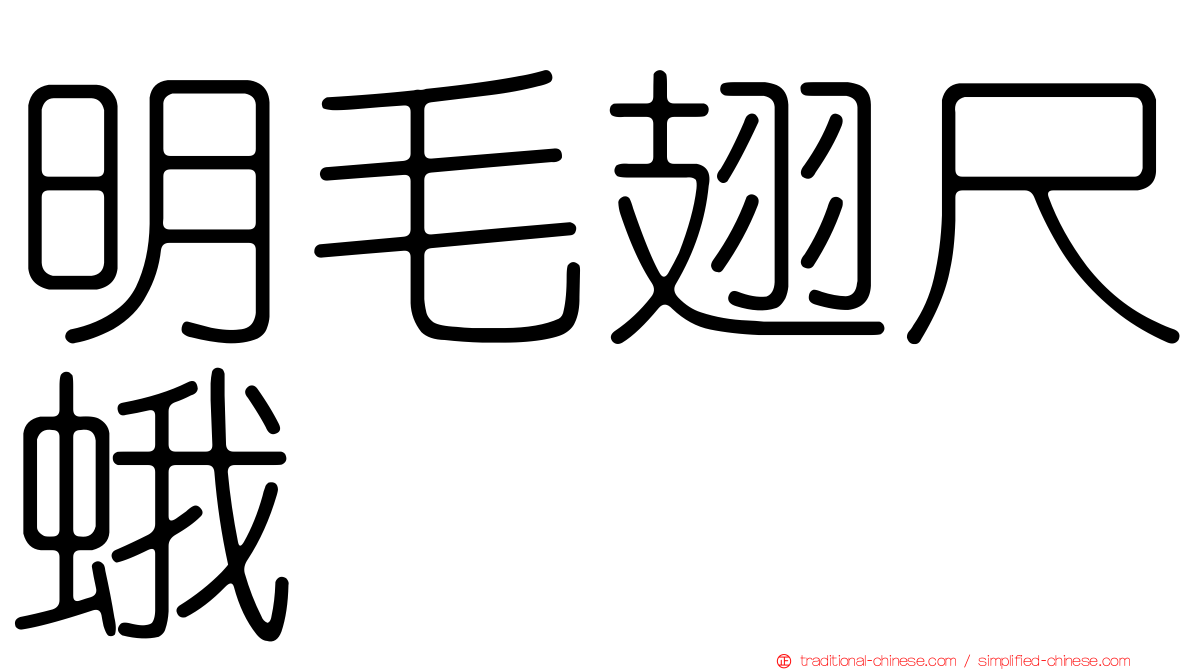明毛翅尺蛾