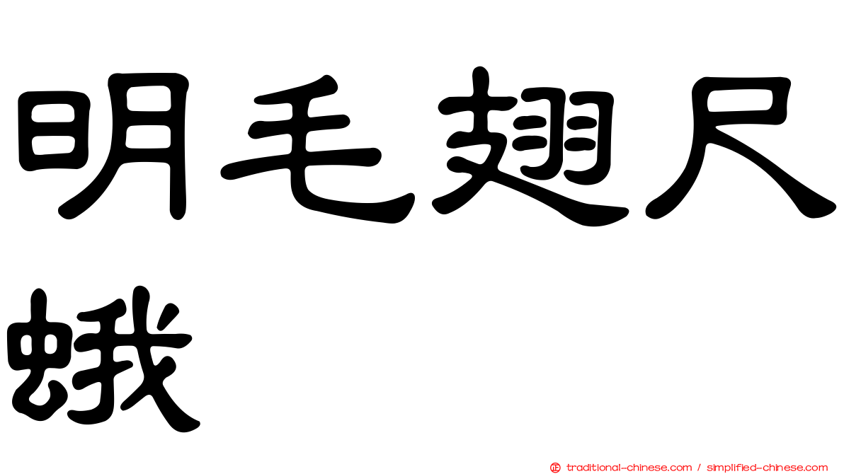 明毛翅尺蛾