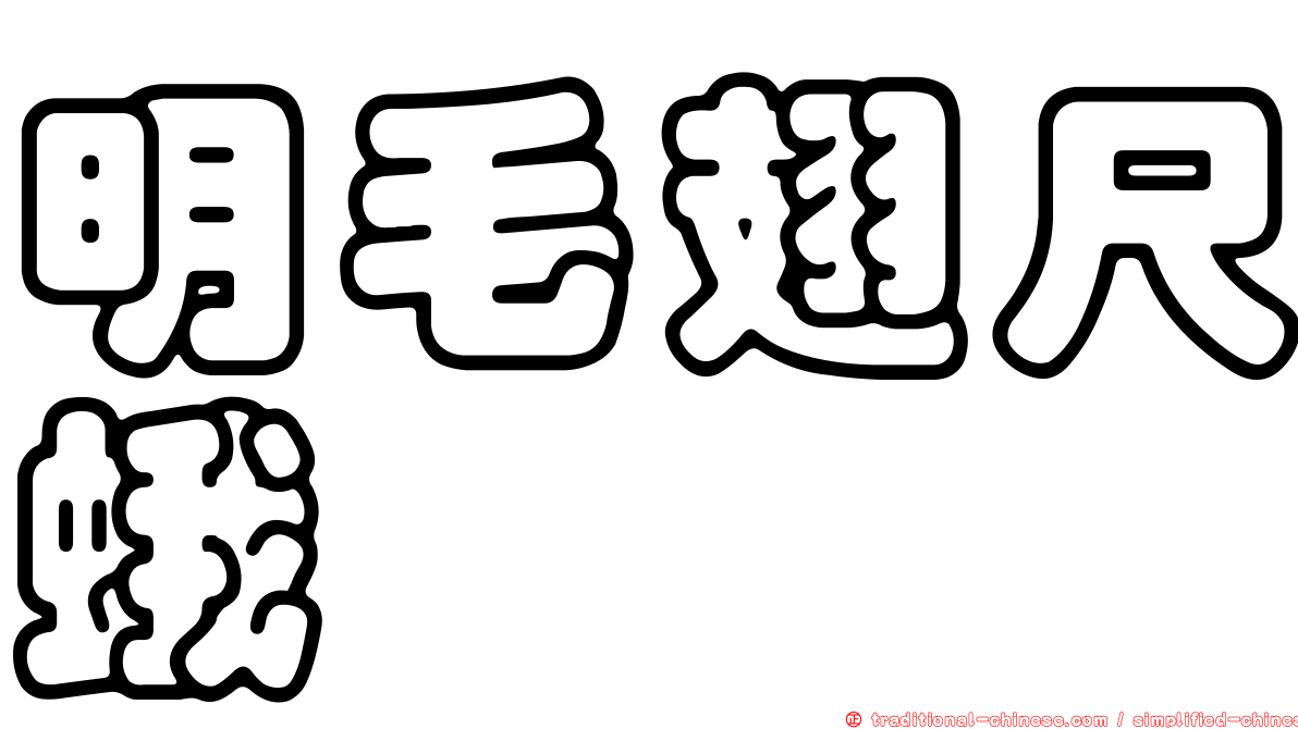 明毛翅尺蛾