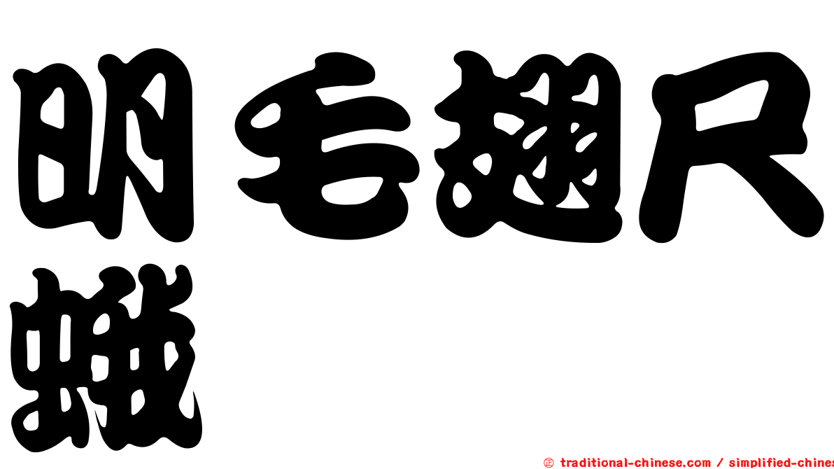 明毛翅尺蛾