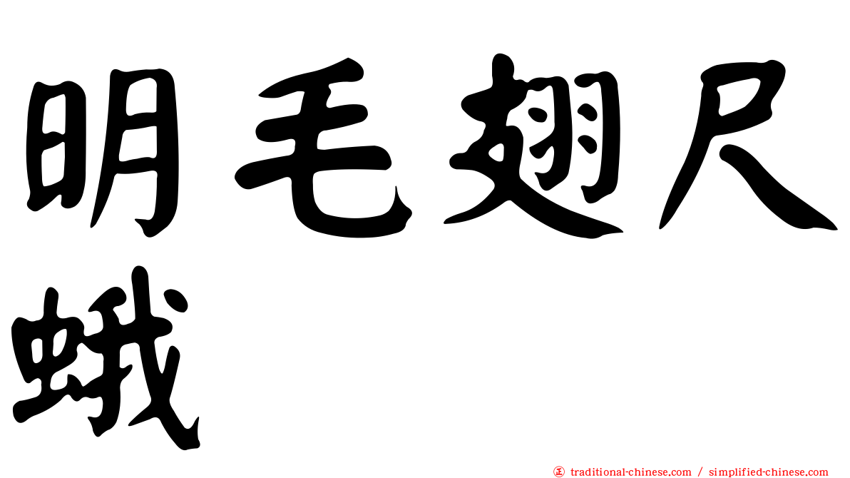 明毛翅尺蛾