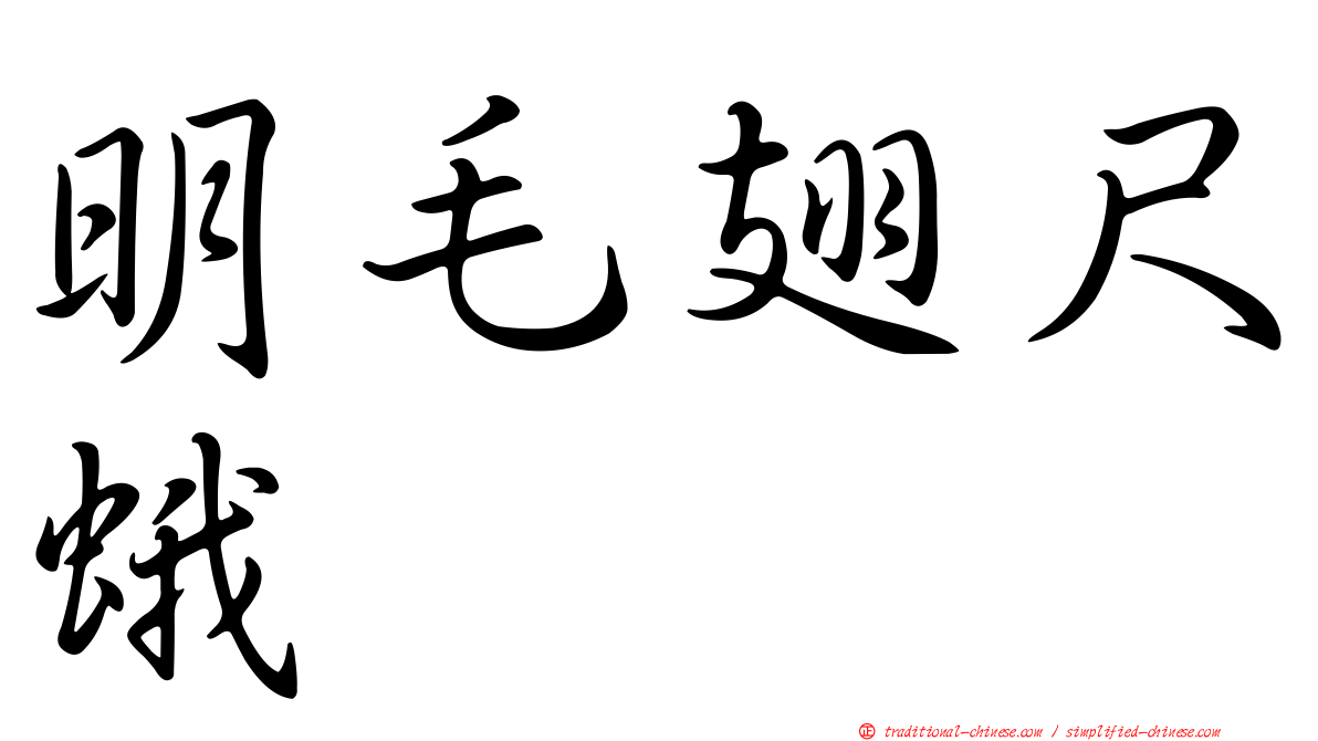 明毛翅尺蛾