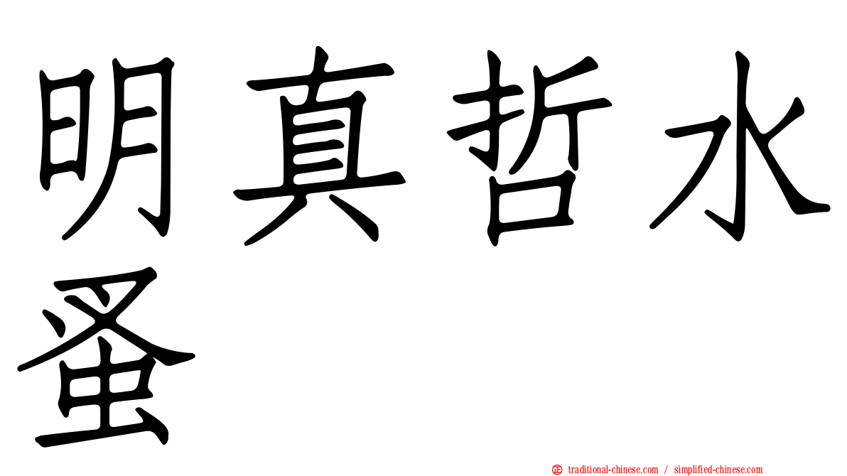 明真哲水蚤