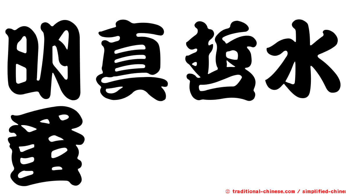 明真哲水蚤
