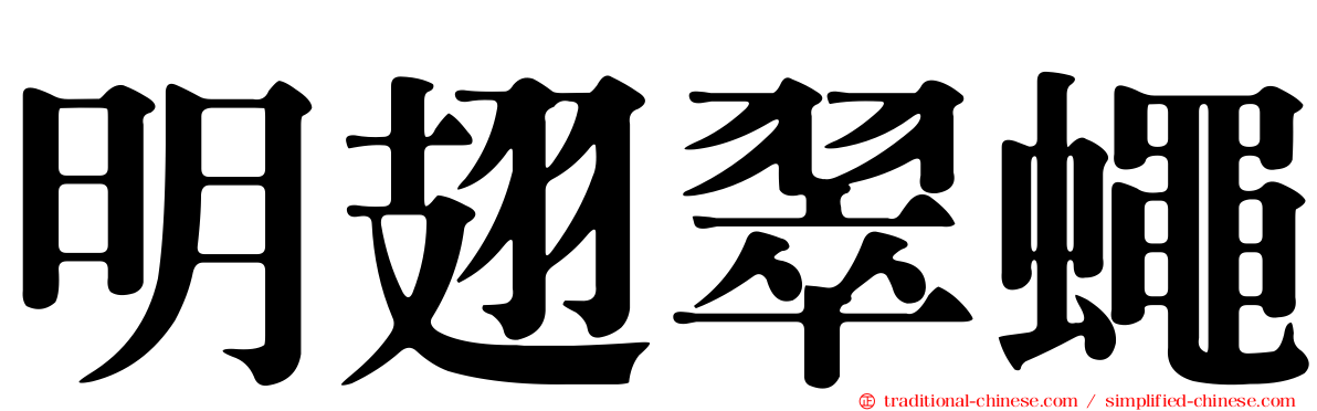 明翅翠蠅