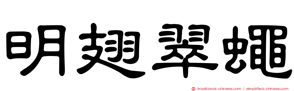 明翅翠蠅