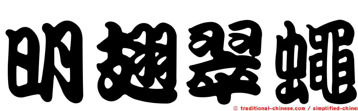 明翅翠蠅