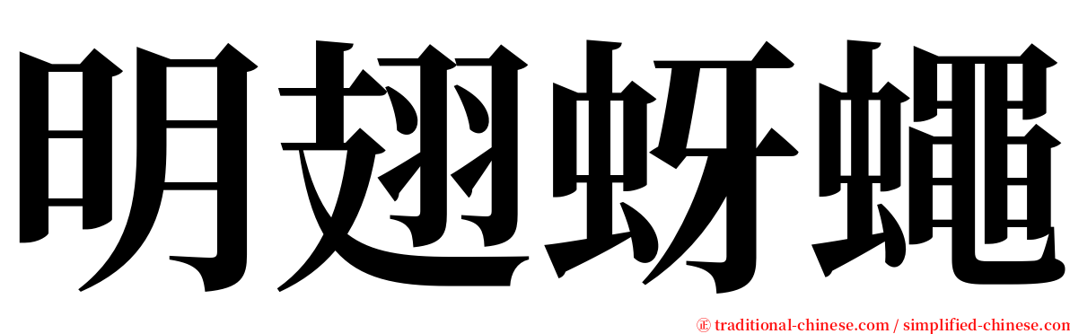 明翅蚜蠅 serif font