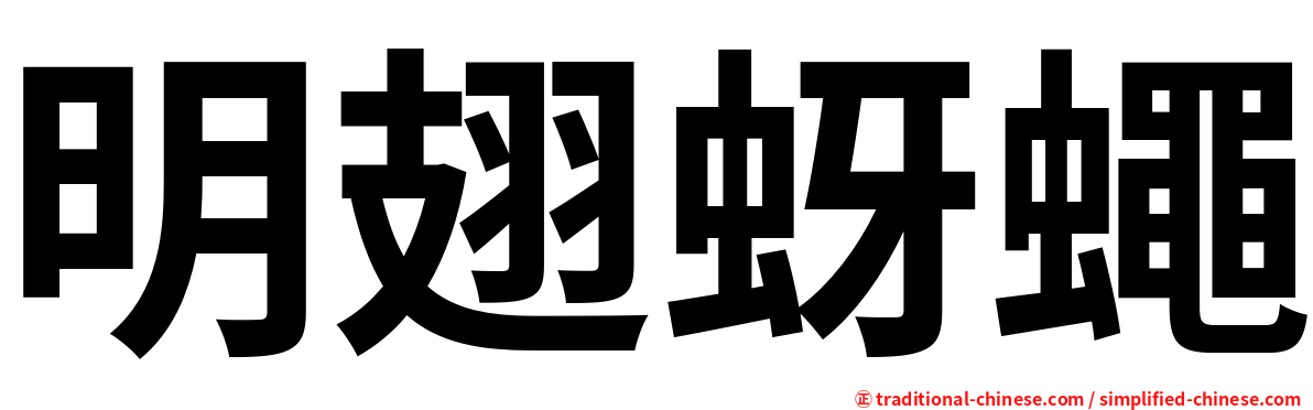 明翅蚜蠅
