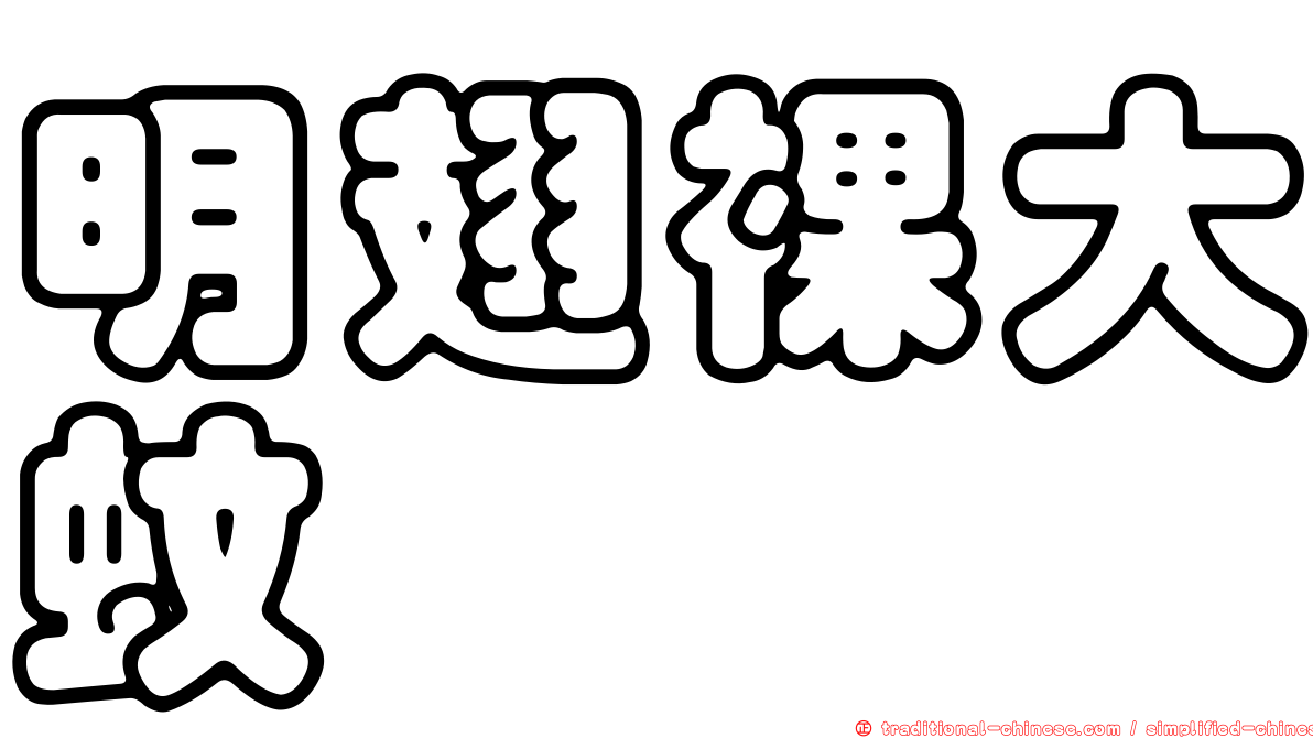 明翅裸大蚊