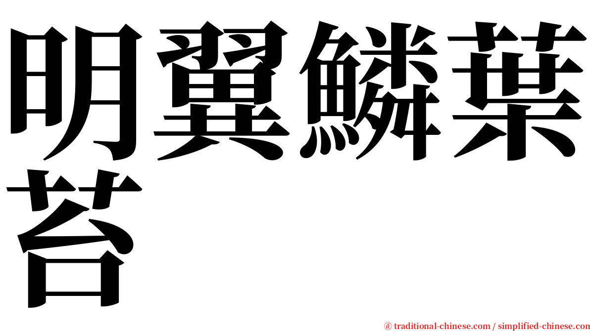 明翼鱗葉苔 serif font