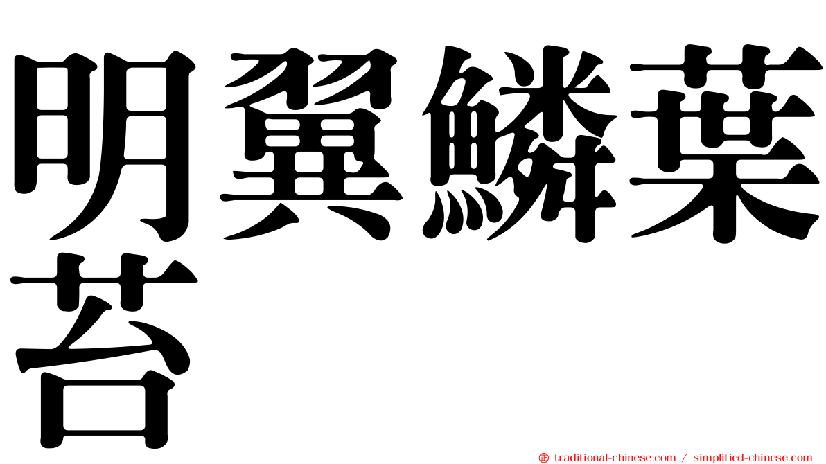 明翼鱗葉苔