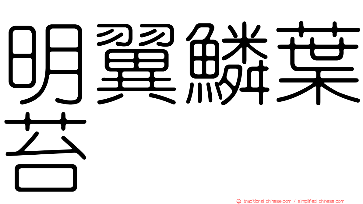 明翼鱗葉苔