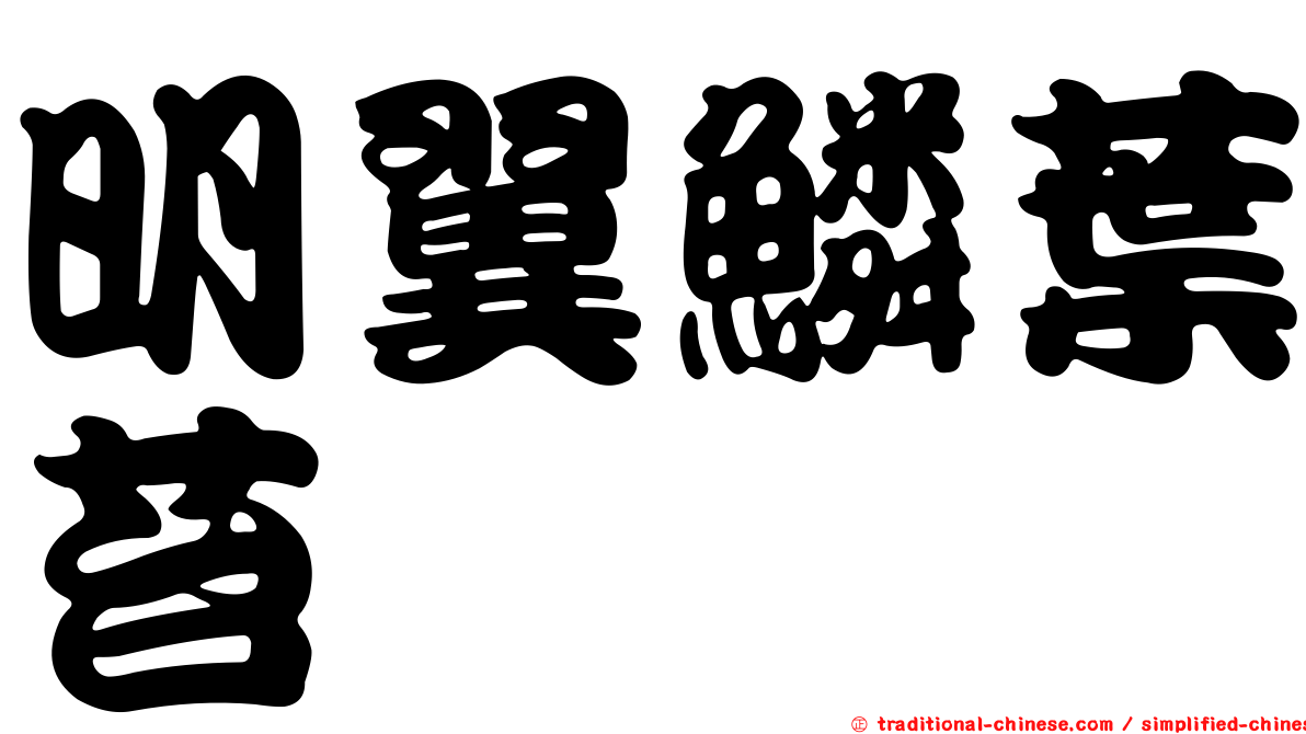 明翼鱗葉苔