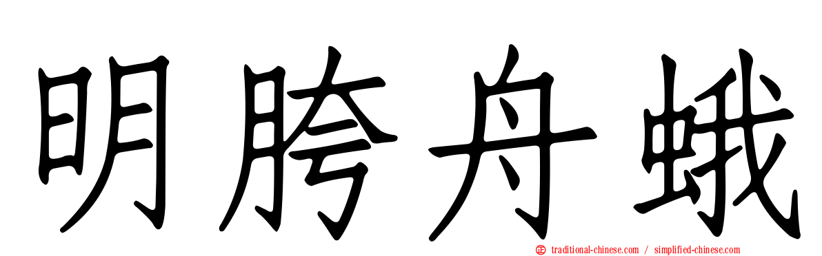 明胯舟蛾