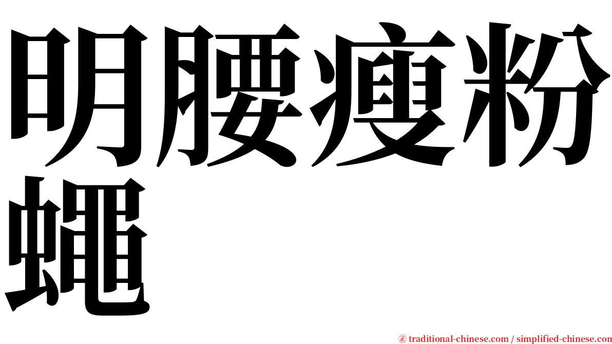 明腰瘦粉蠅 serif font