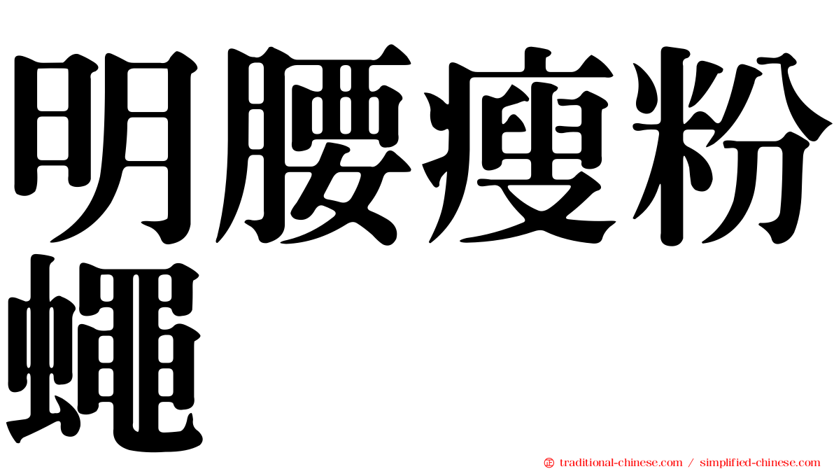 明腰瘦粉蠅