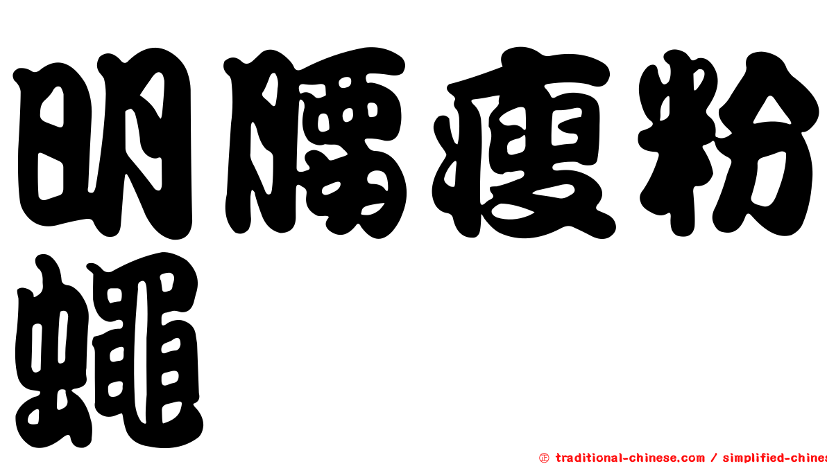 明腰瘦粉蠅
