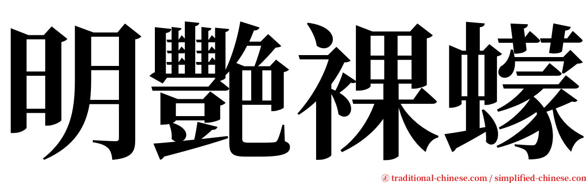 明艷裸蠓 serif font