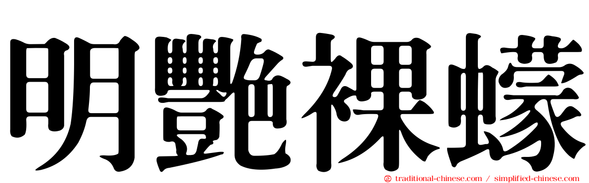 明艷裸蠓