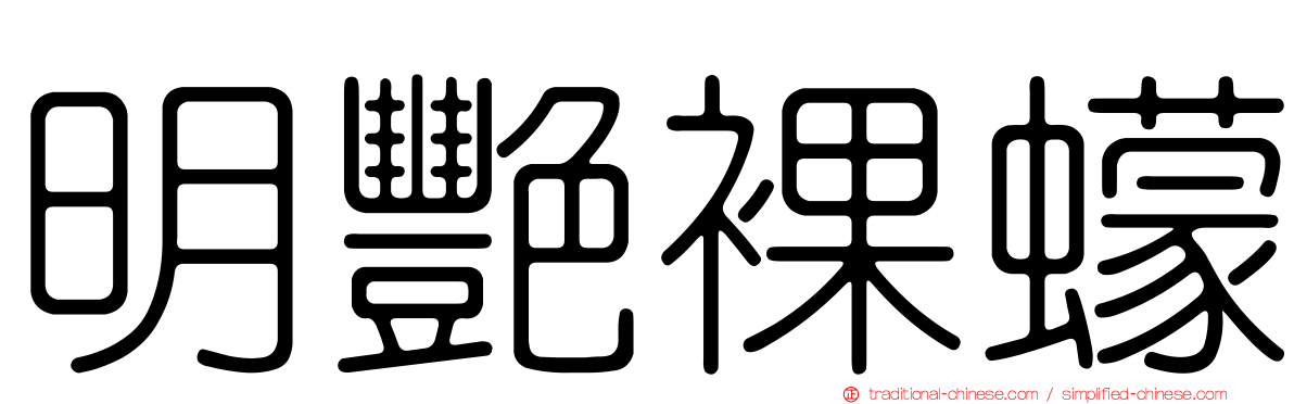 明艷裸蠓