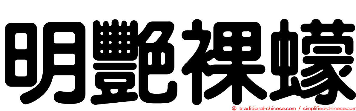 明艷裸蠓