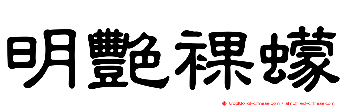 明艷裸蠓