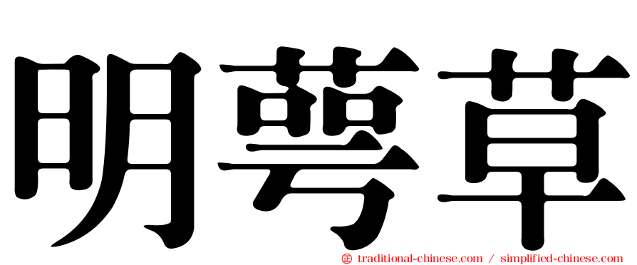 明萼草