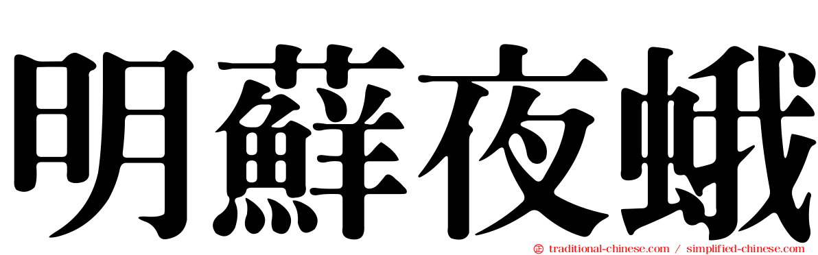 明蘚夜蛾