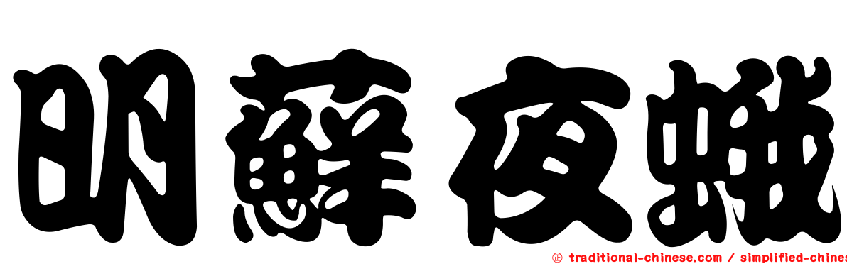 明蘚夜蛾