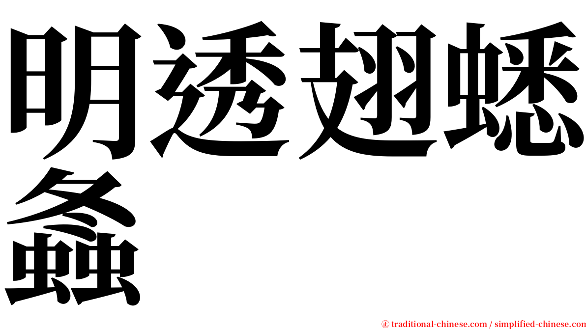 明透翅蟋螽 serif font