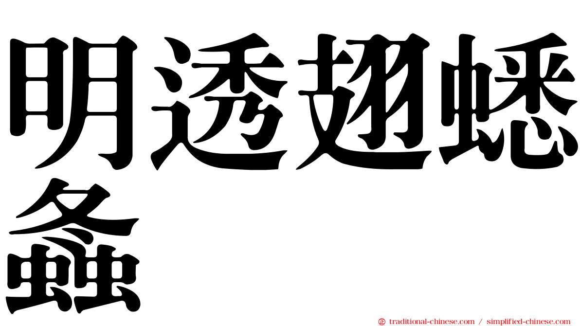 明透翅蟋螽