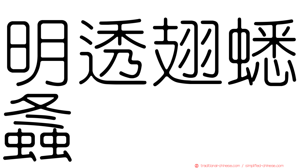 明透翅蟋螽