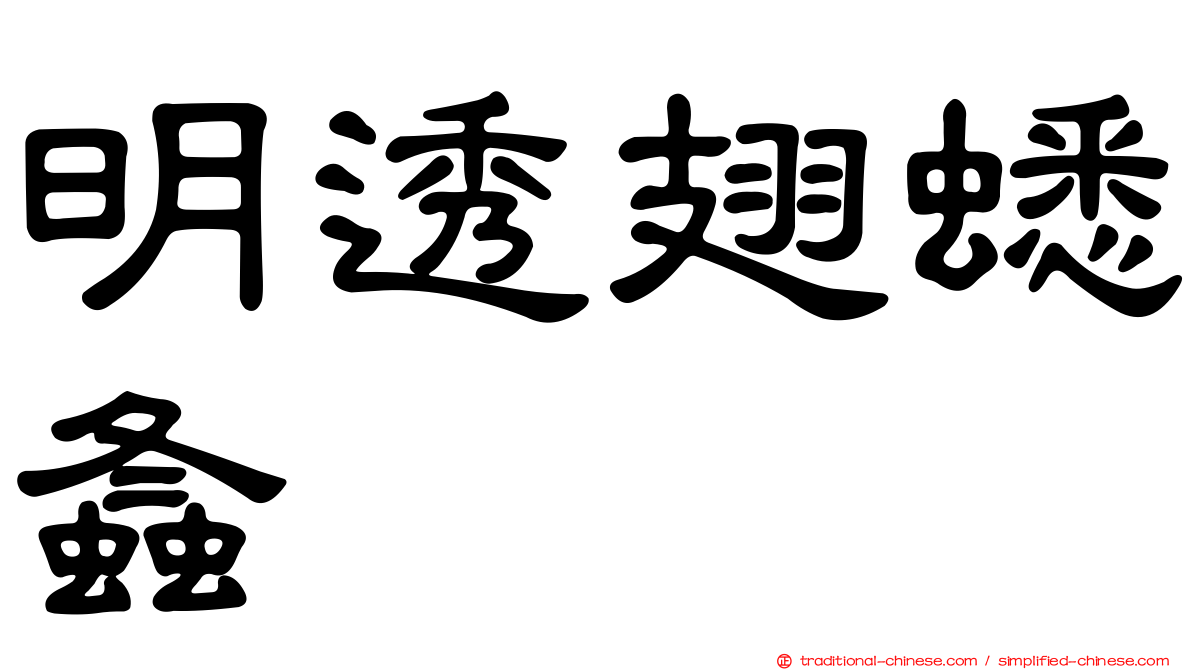 明透翅蟋螽