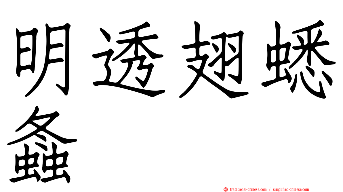 明透翅蟋螽