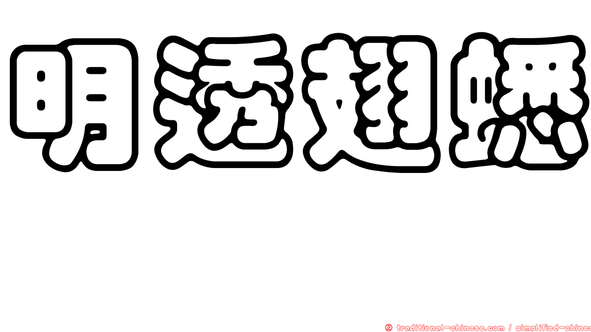 明透翅蟋螽