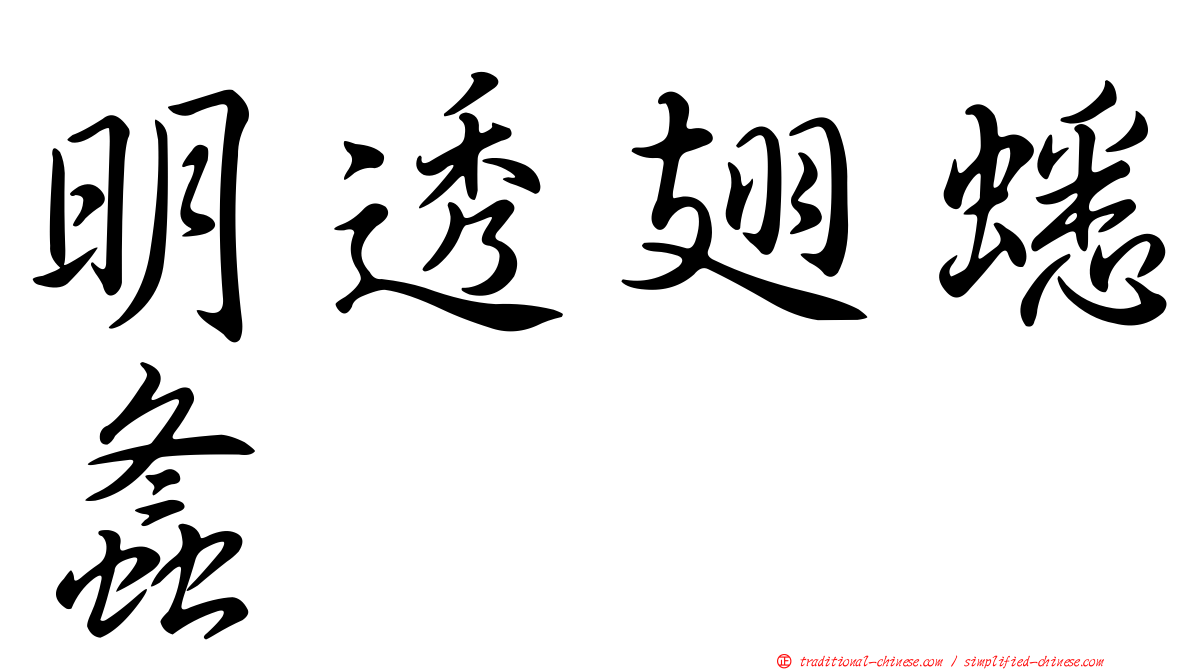 明透翅蟋螽