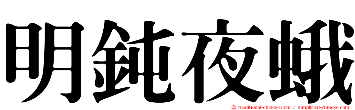 明鈍夜蛾