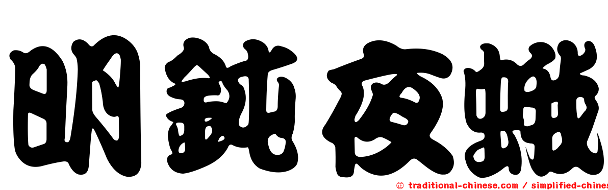 明鈍夜蛾