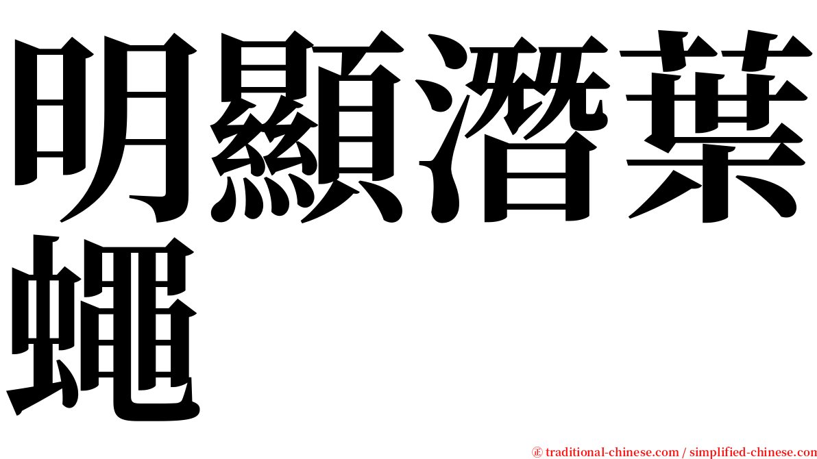明顯潛葉蠅 serif font