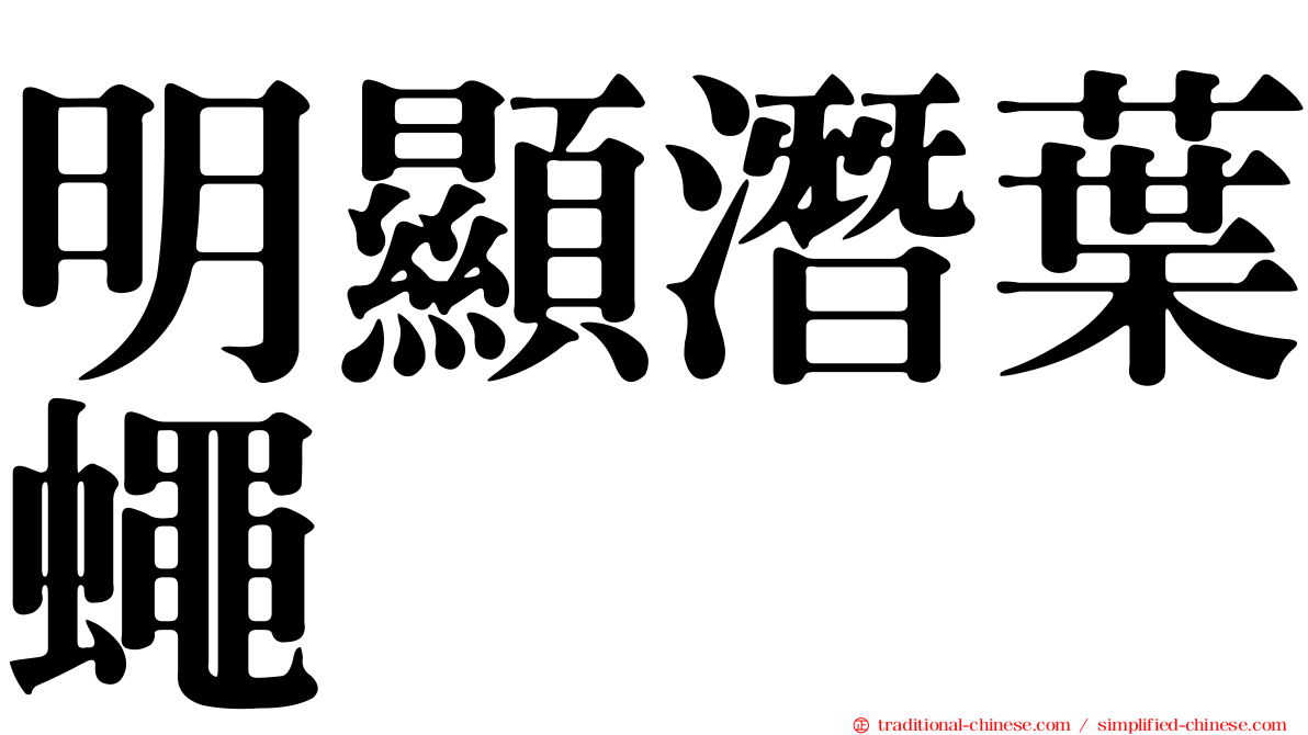 明顯潛葉蠅