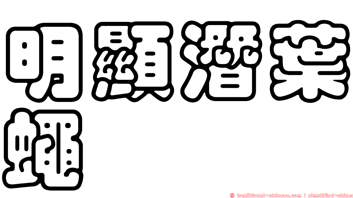 明顯潛葉蠅