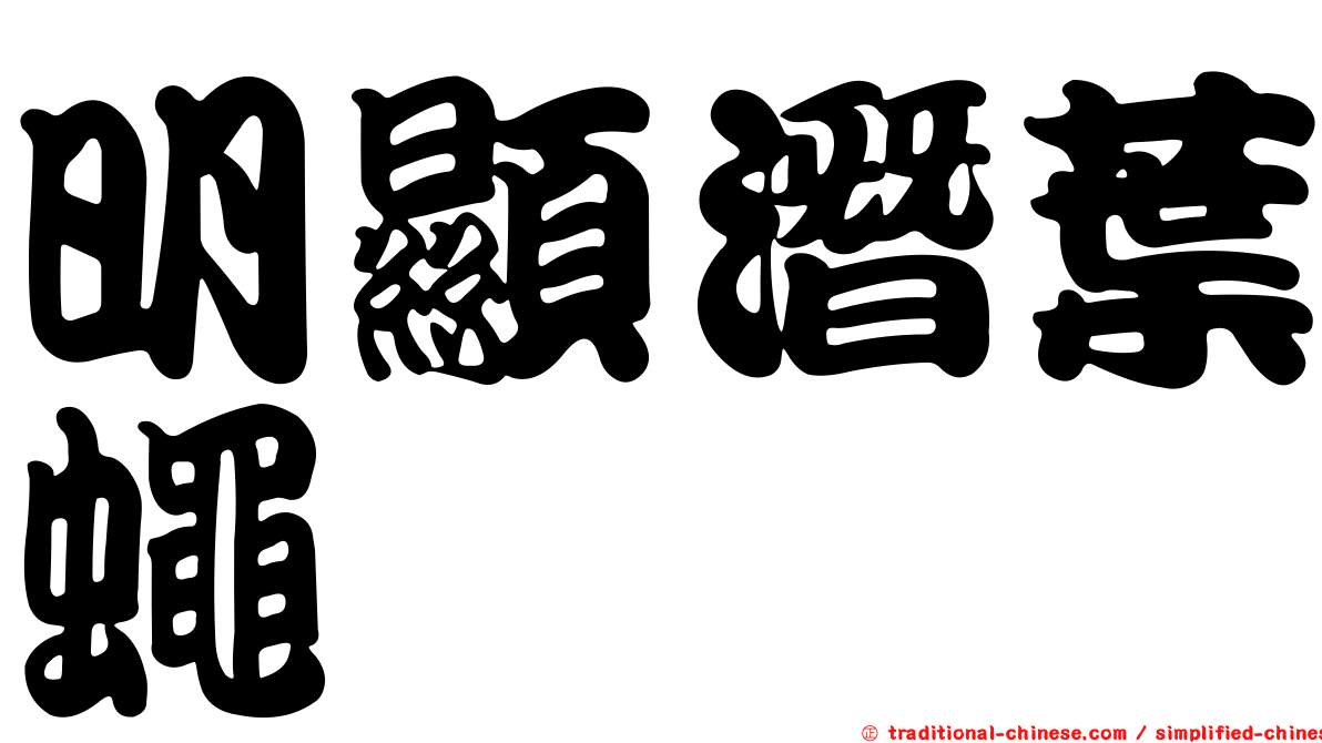 明顯潛葉蠅