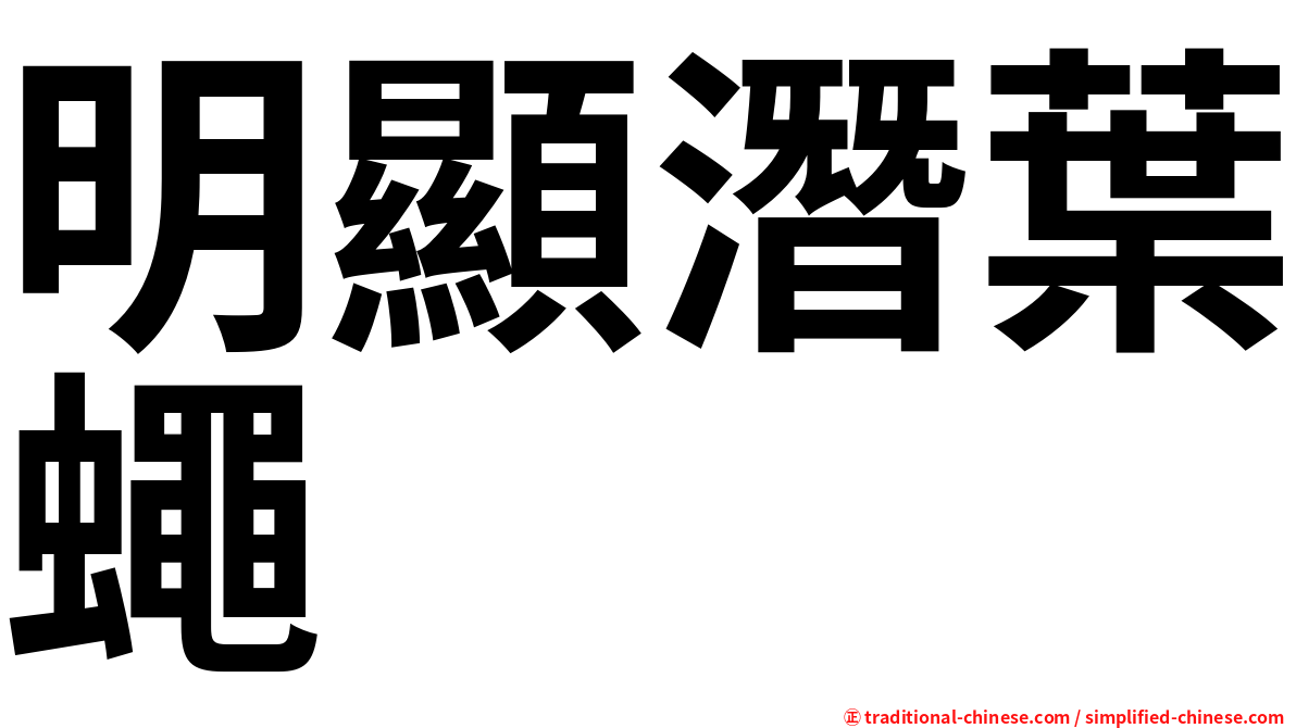 明顯潛葉蠅